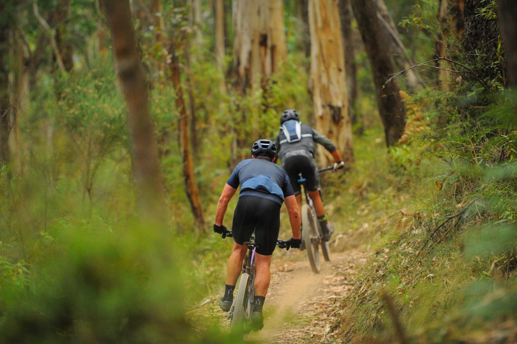 2022 otway odyssey forrest