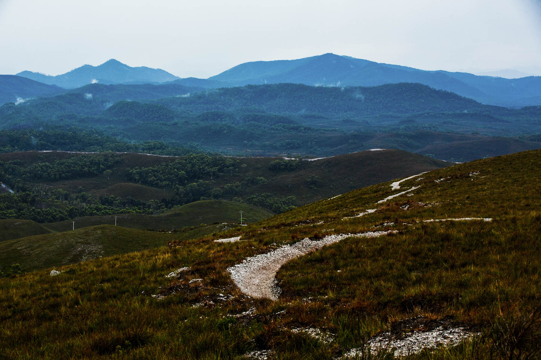 A West Coast Odyssey Exploring Queenstown, Zeehan and Strahan