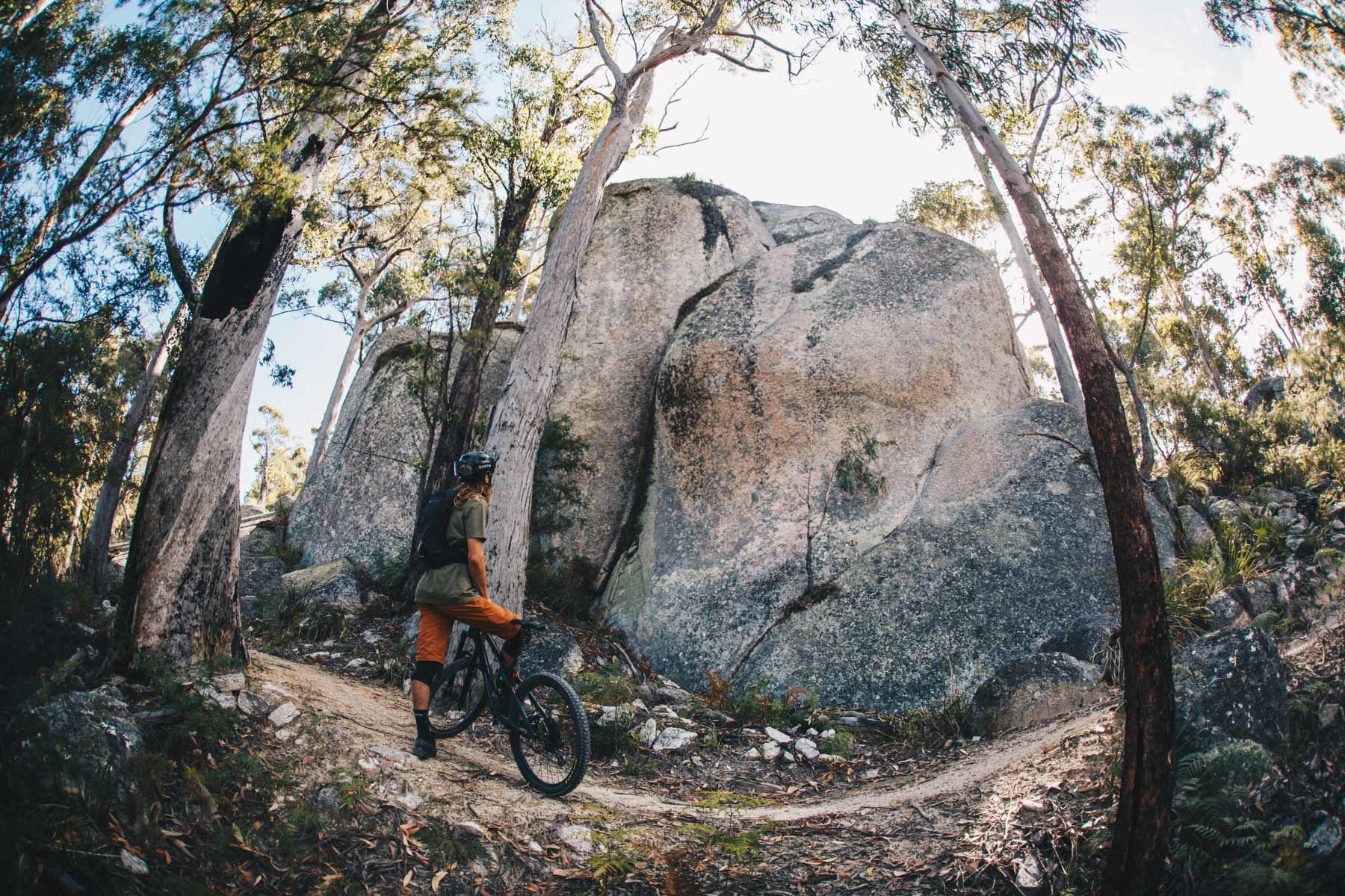 The Bay of Fires hosts amazing mountain bike trails that connect the bush and the beach in Tasmania's East Coast