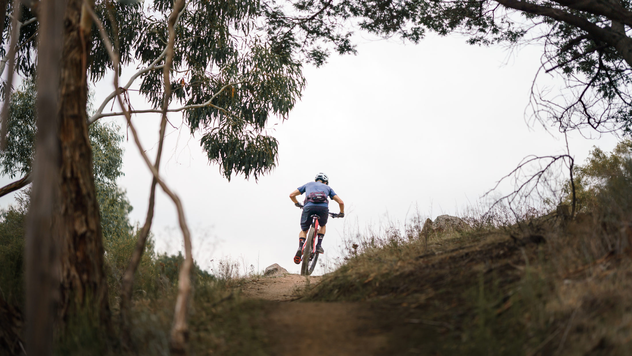 2022 specialized stumpjumper comp carbon