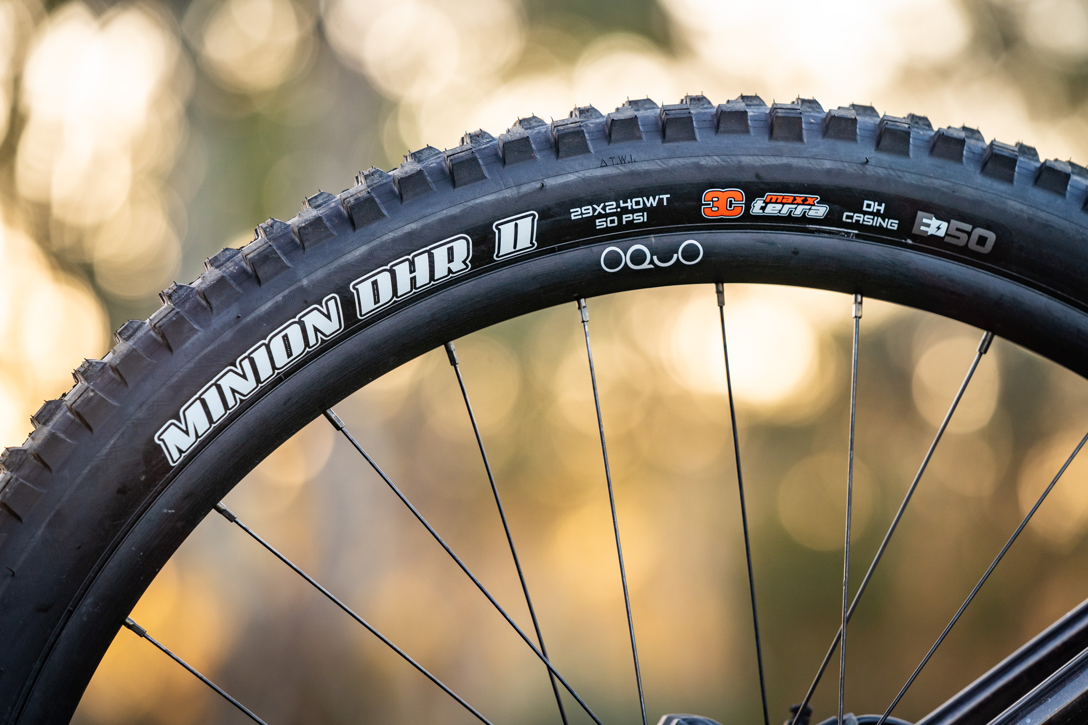 Maxxis assegai 2.6 29 hot sale