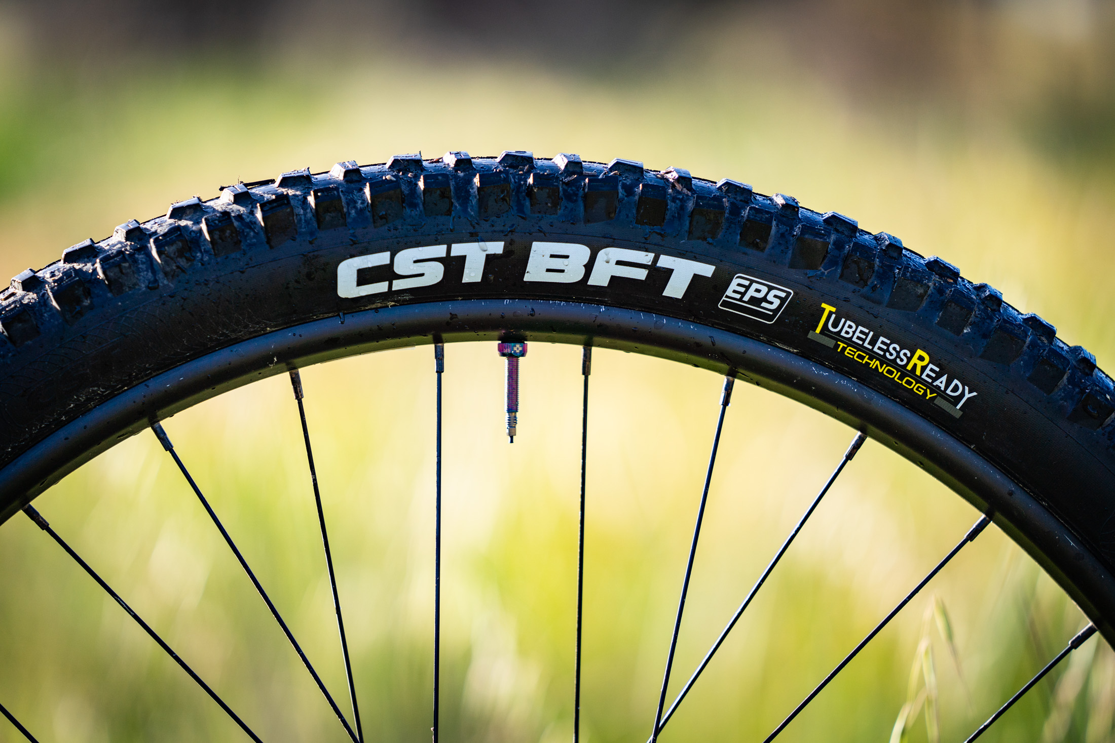 cst bft tyre tire 29x2.4in tubeless