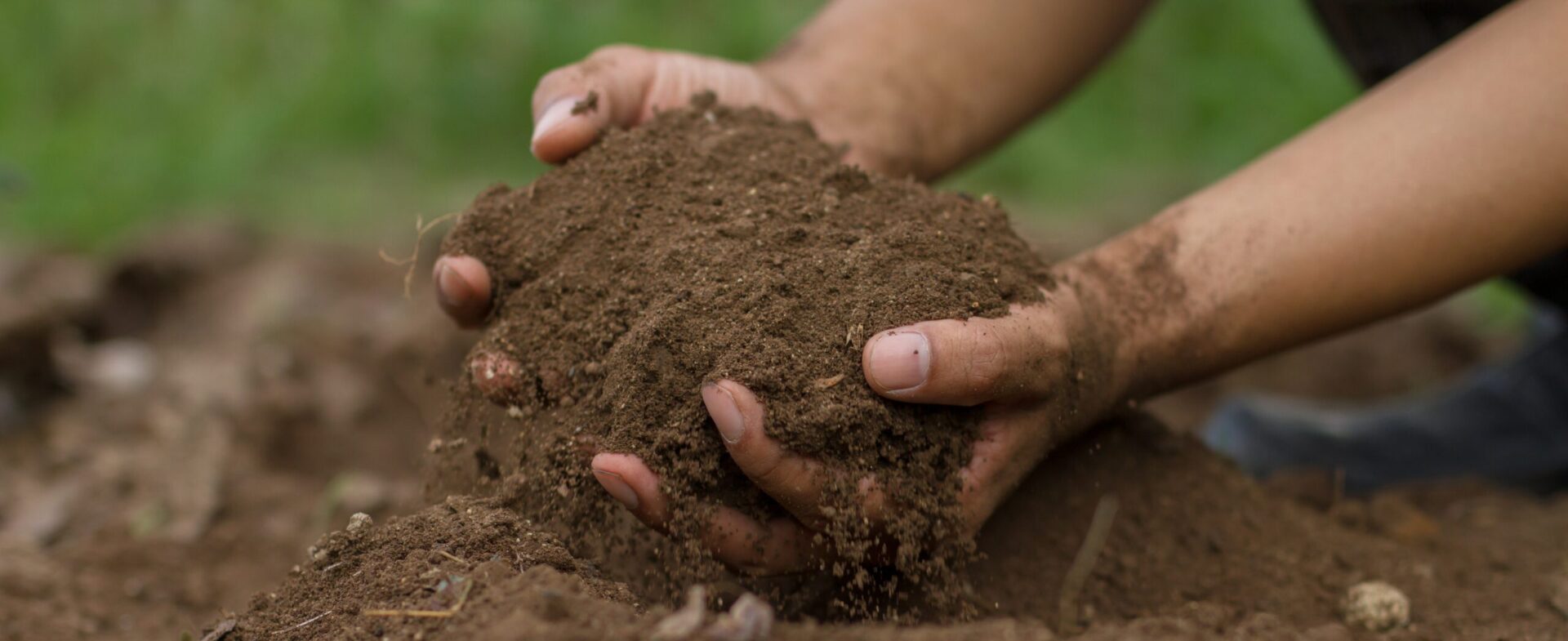 Drought Proofing Perth Soil Guildford Garden Centre