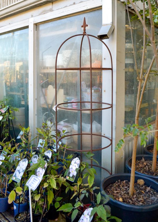 Garden Art Humming Bird Sculpture Large Steel Guildford Garden Centre