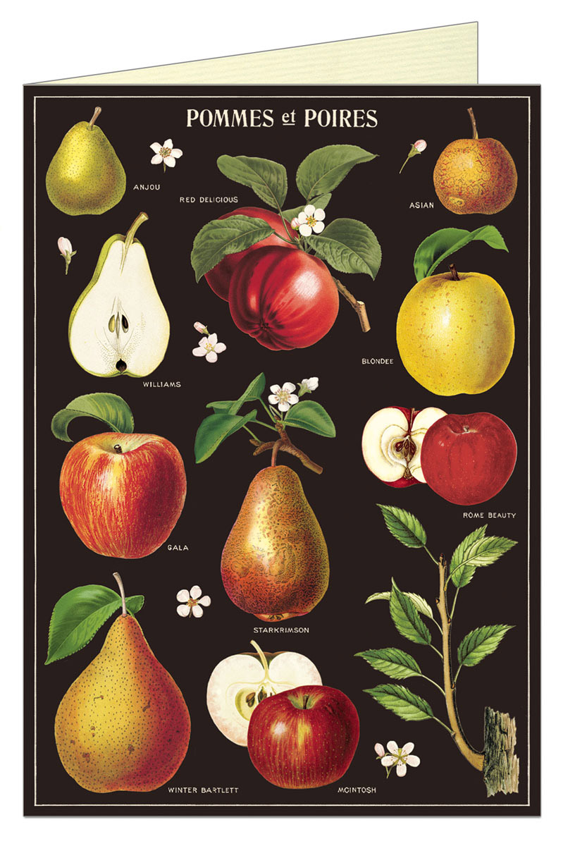 Greeting Card Vintage Botanical Apples & Pears Guildford Garden