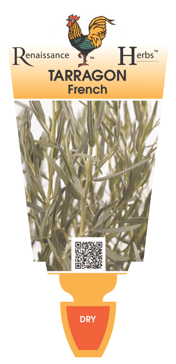 Tarragon French Renaissance Herbs Perth, WA Garden Centre