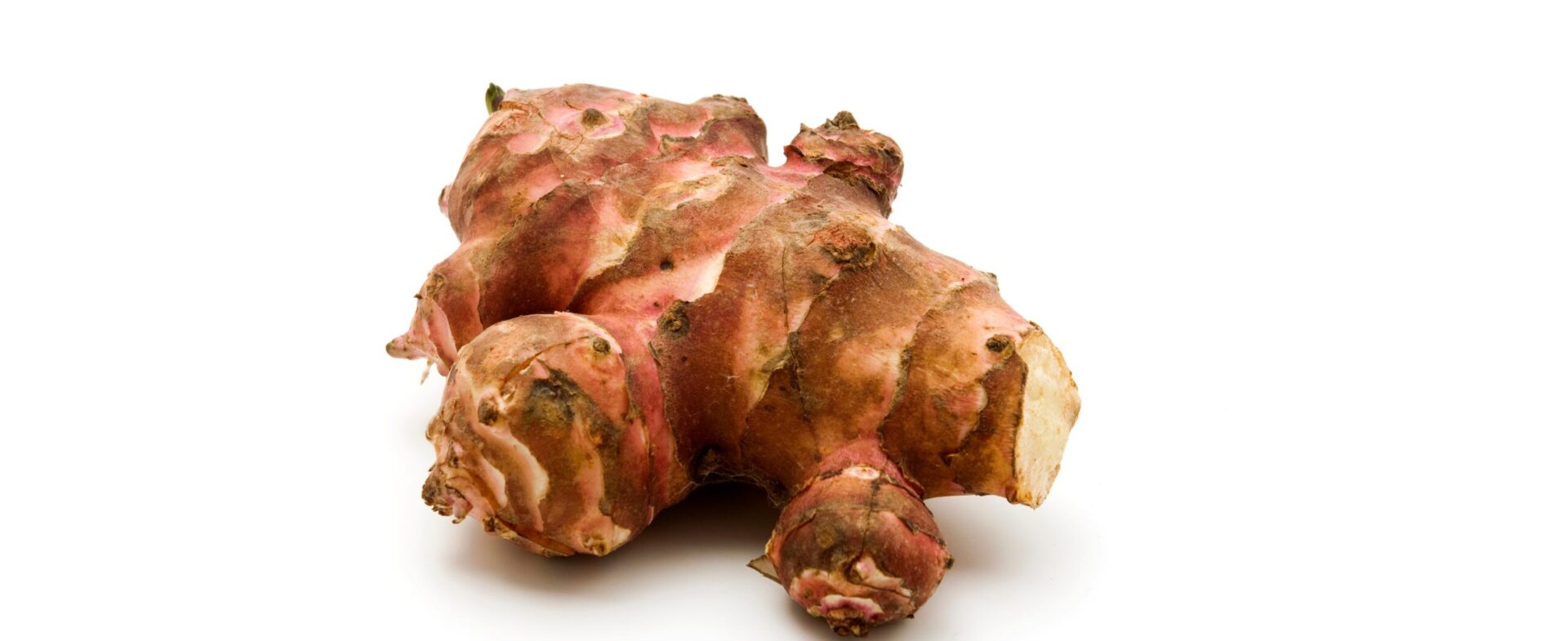 How to Grow Artichokes in Perth Guildford Garden Centre