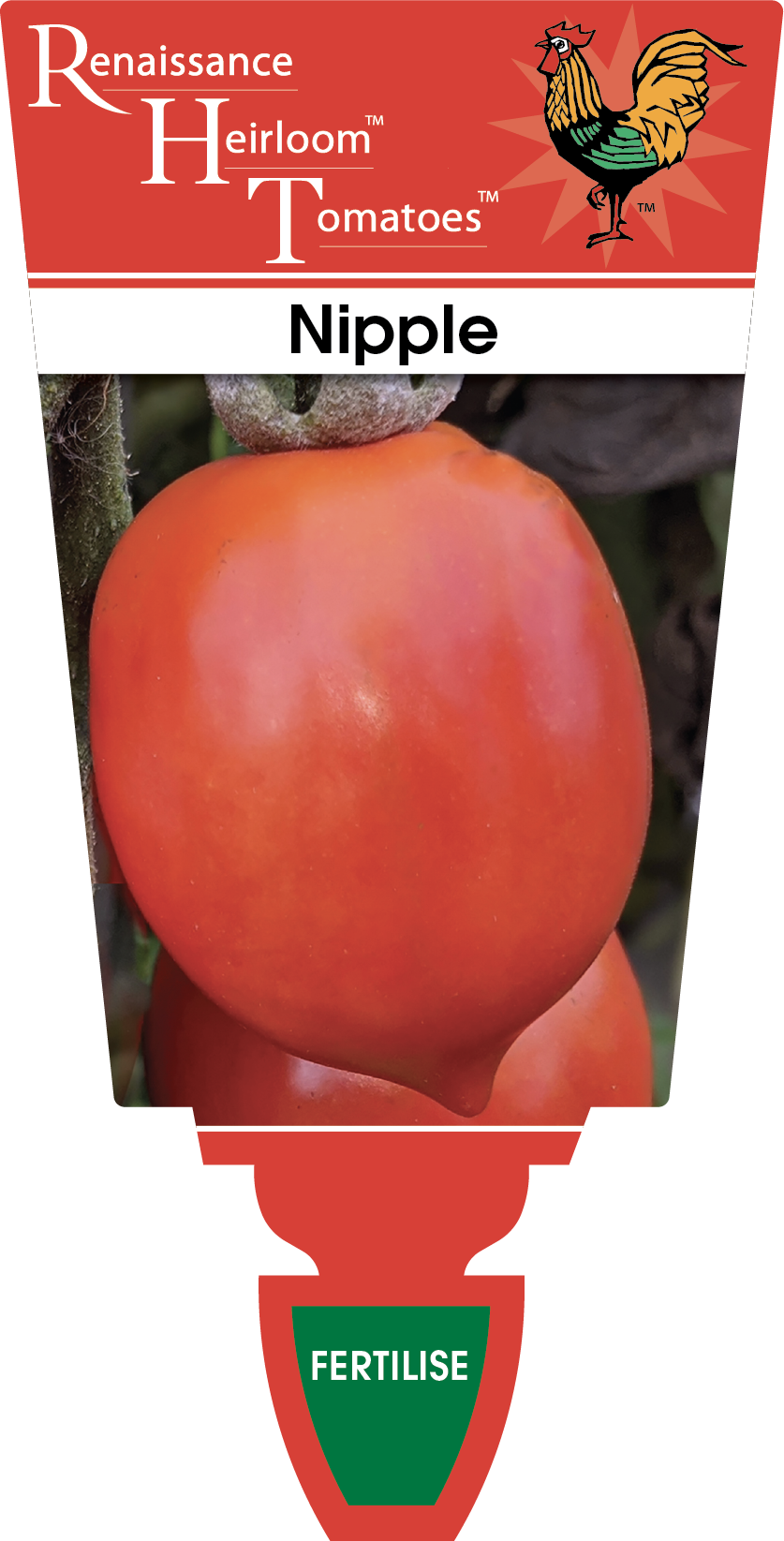 Tomato Nipple Renaissance Heirloom Tomato Perth, WA Garden Centre