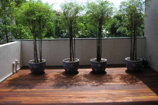 Balcony-Story_Lumbermart