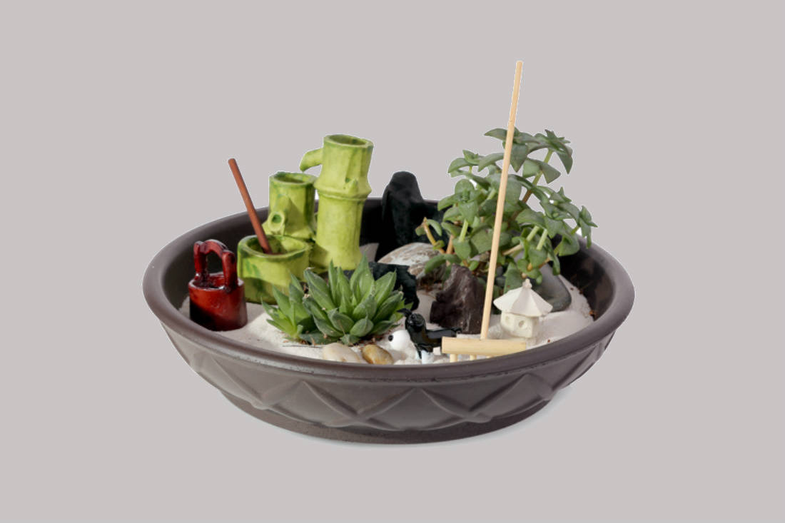 Cool finds for your urban garden