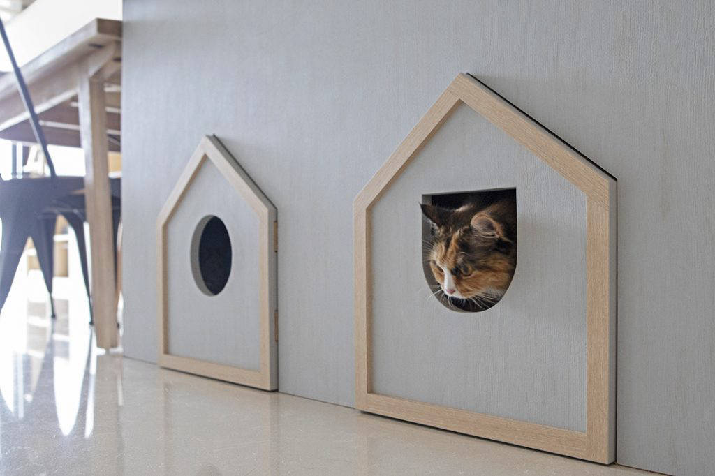 Linear Space Concepts have turned this apartment into a cosy sanctuary that both the owners and their cats can enjoy.