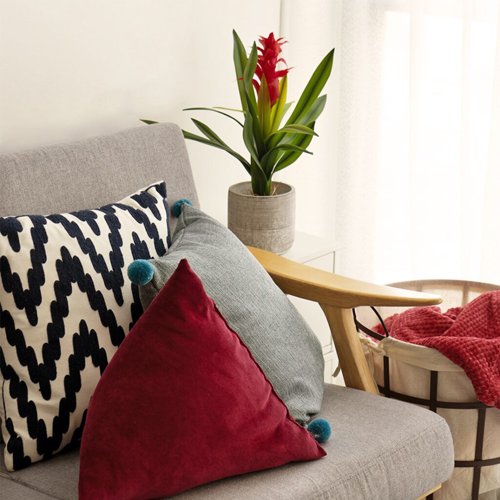 Duncan cushion