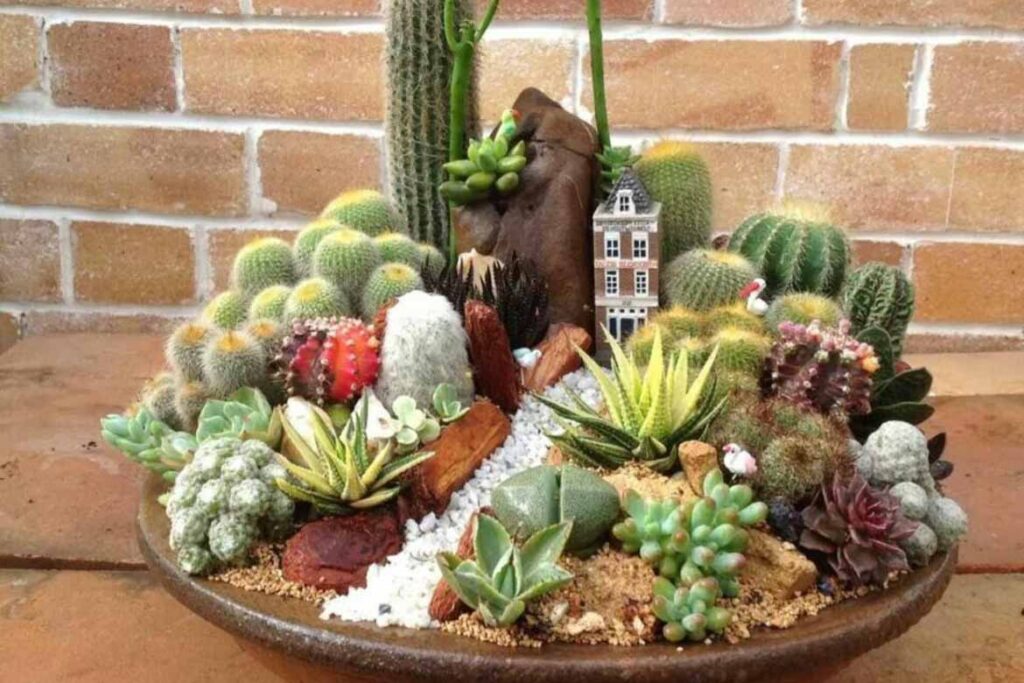 how to make a mini cactus garden