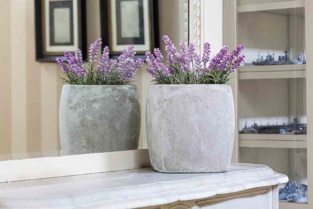 ceramic concrete pot plant on fireplace with mirror and lavender