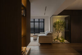 A minimalist sanctuary rooted in nature