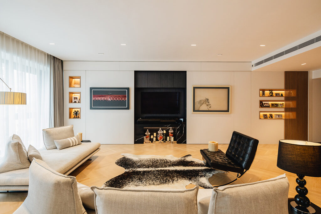 Ardmore Park condo renovation