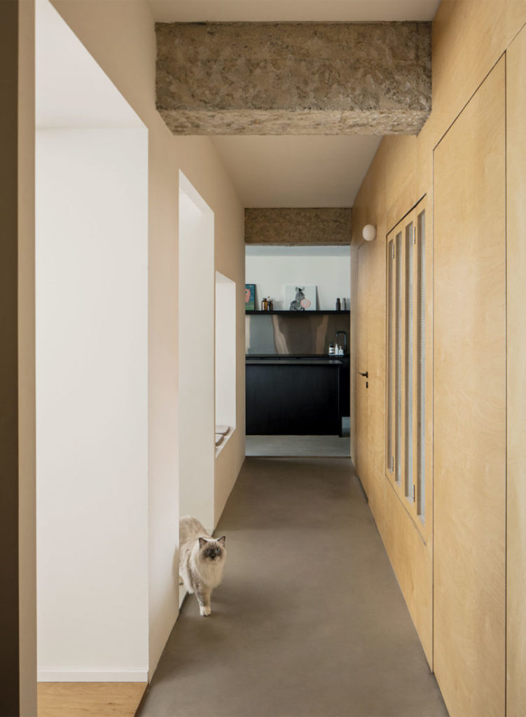 pet-friendly home design