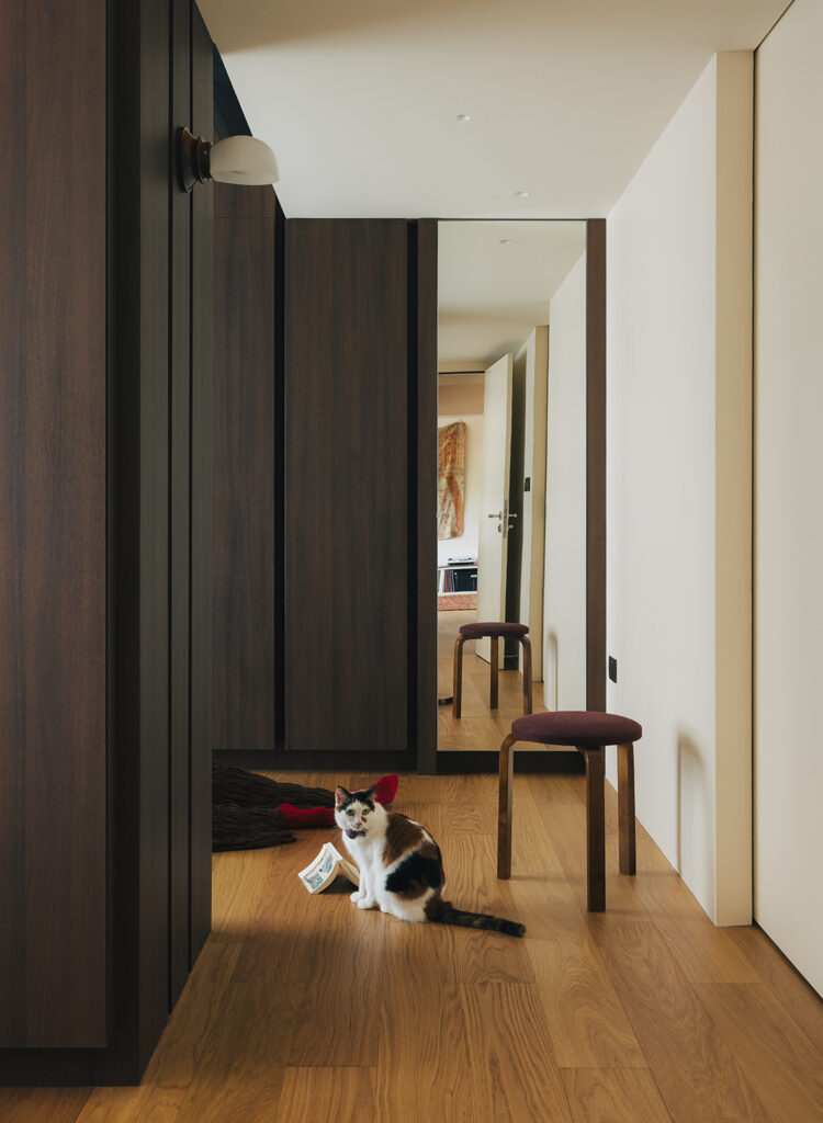 Walk-in Wardrobe image