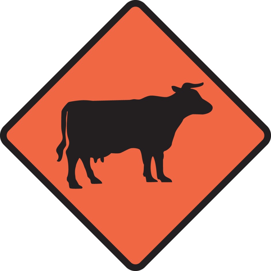 Cattle / Cow Level 1