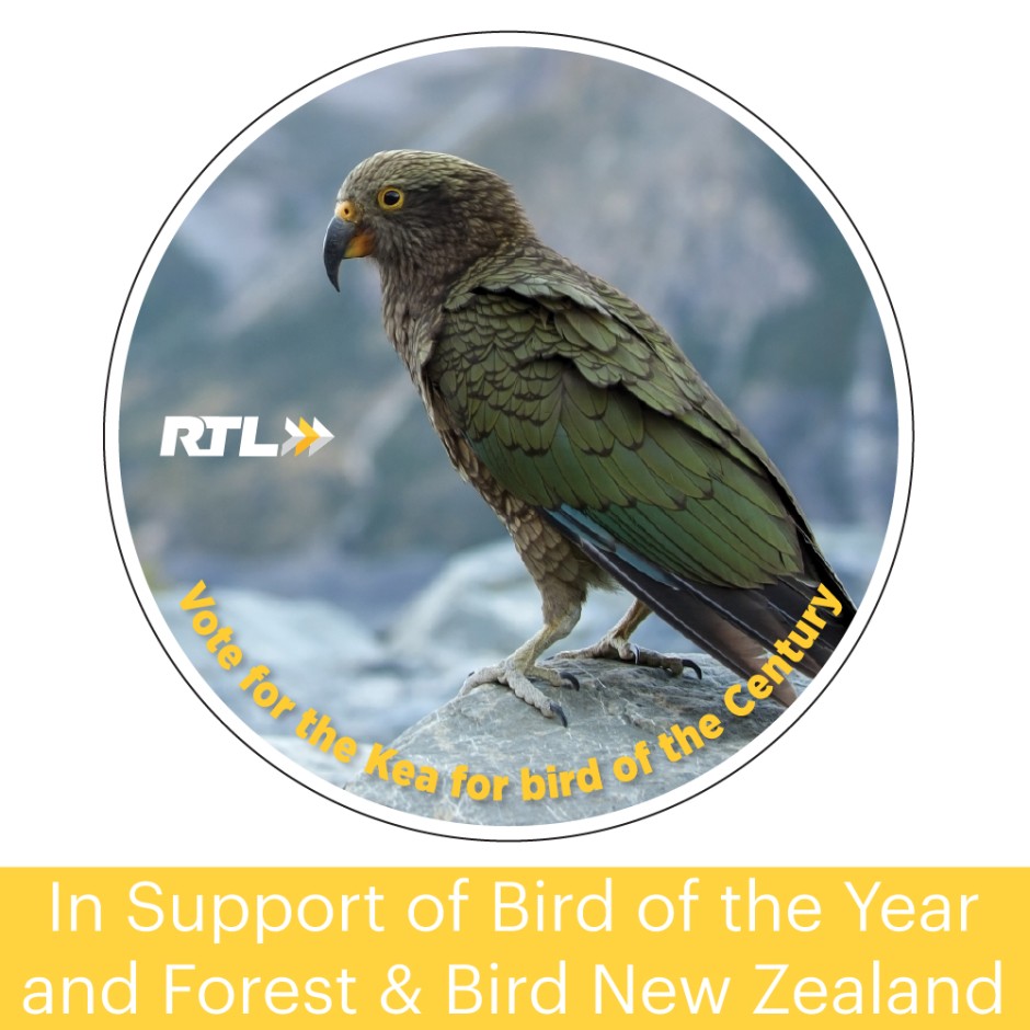 400mm Custom Bird of the Year Sign