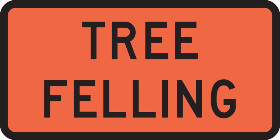 Tree Felling
