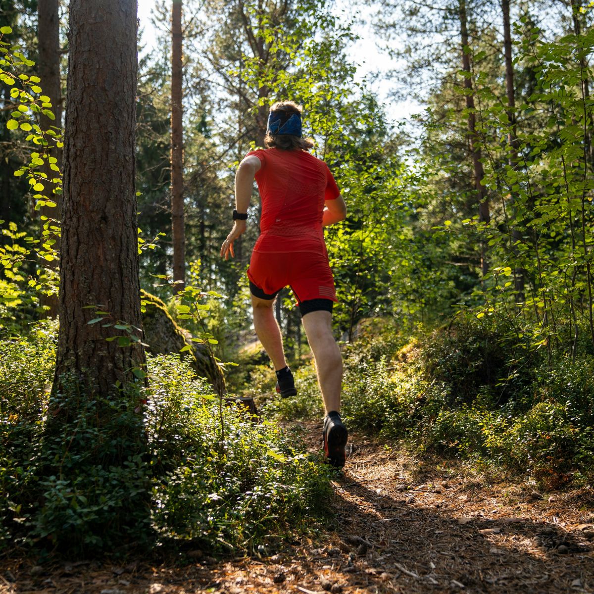 Trail Running Gear for Your Next Adventure