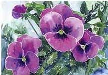 ITD A4 Rice Paper - Flora