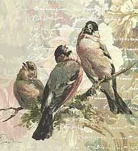 ITD A4 Rice Paper - Animals