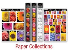 Darkroom Door Printed Paper Accessories