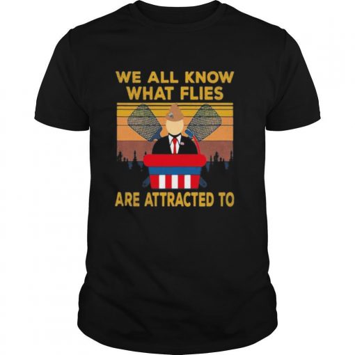 TshirtStation We All Know What Flies Are Attracted To Vintage Shirt X