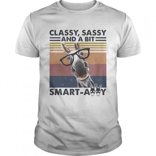 Donkey Classy Sassy And A Bit Smartassy Vintage Retro Unisex 510x510 1
