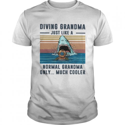 Diving Grandma Just Like A Normal Grandma Only Much Cooler Scuba Diving Vintage Retro Unisex 510x510 1