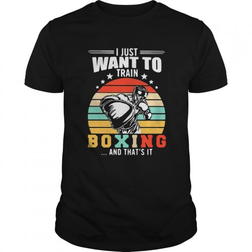 I Just Want To Train Boxing And Thats It Vintage Stars Unisex 510x510 1