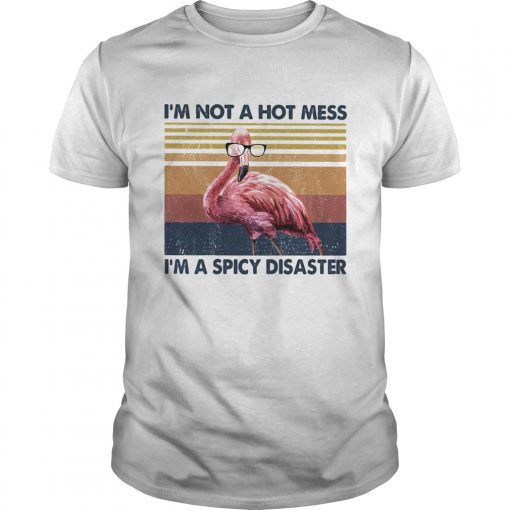 Flamingo Im Not A Hot Mess Im A Spicy Disaster Vintage Llmlted Edltlon Unisex 510x510 1