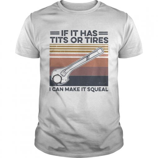 If It Has Tits Or Tires I Can Make It Squeal Vintage Unisex 510x510 1