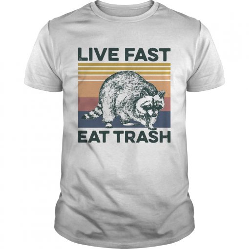 Raccoon Life Fast Eat Trash Vintage Unisex 510x510 1