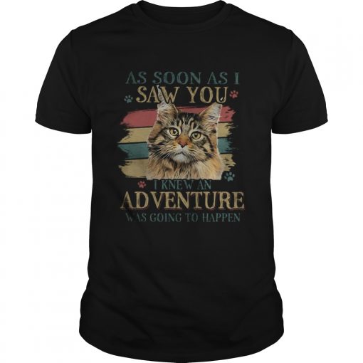 Cat As Soon As I Saw You I Knew An Adventure Was Going To Happen Vintage Retro Unisex 510x510 1