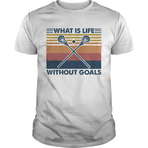 Disc Golf What Is Life Without Goals Vintage Retro Unisex 510x510 1