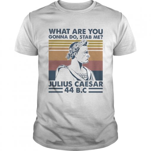What Are You Gonna Do Stab Me Julius Caesar 44 Bc Vintage Retro Unisex 510x510