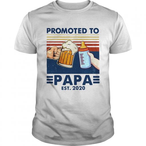 Family Promoted To Papa 2020 Vintage Unisex 510x510 1