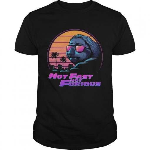 Sloth Not Fast Not Furious Vintage Unisex 510x510 1