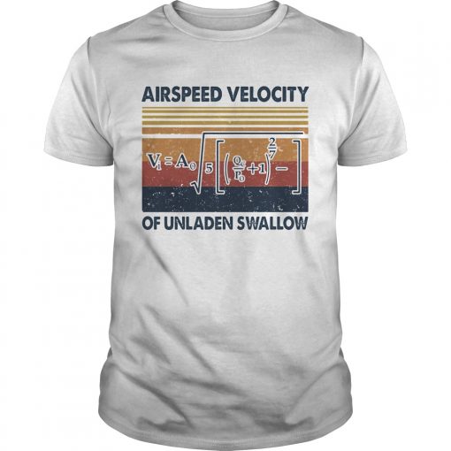 Airspeed Velocity Of Unladen Swallow Vintage Unisex 510x510 1