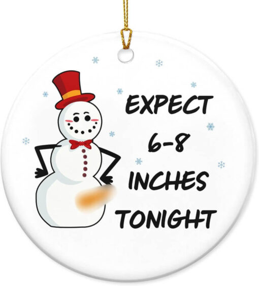 Humorous Christmas Ornaments