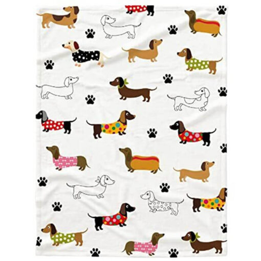 Dachshund Puppy With Paw Velveteen Plush Blanket