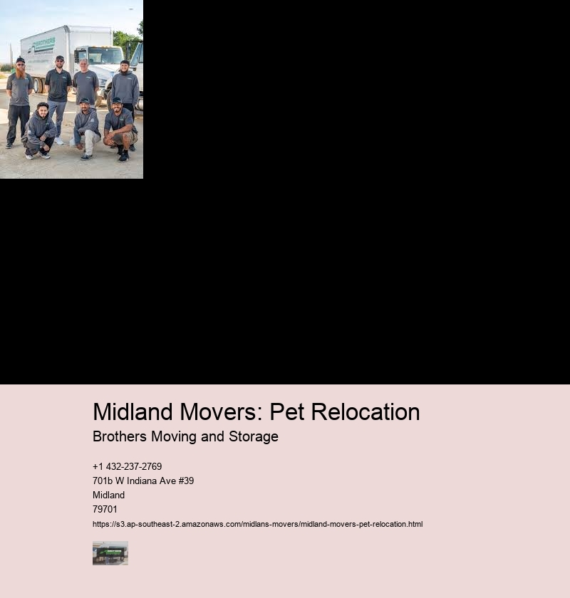 Research and Gather Recommendations
