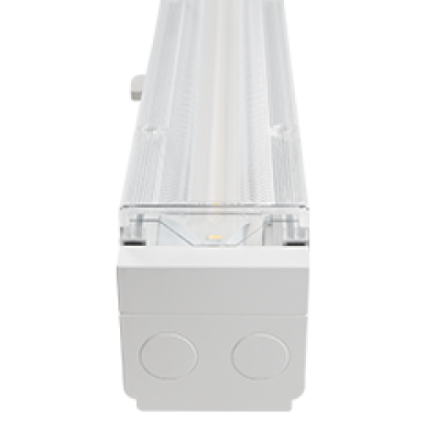 Trunking Home Thumbnail