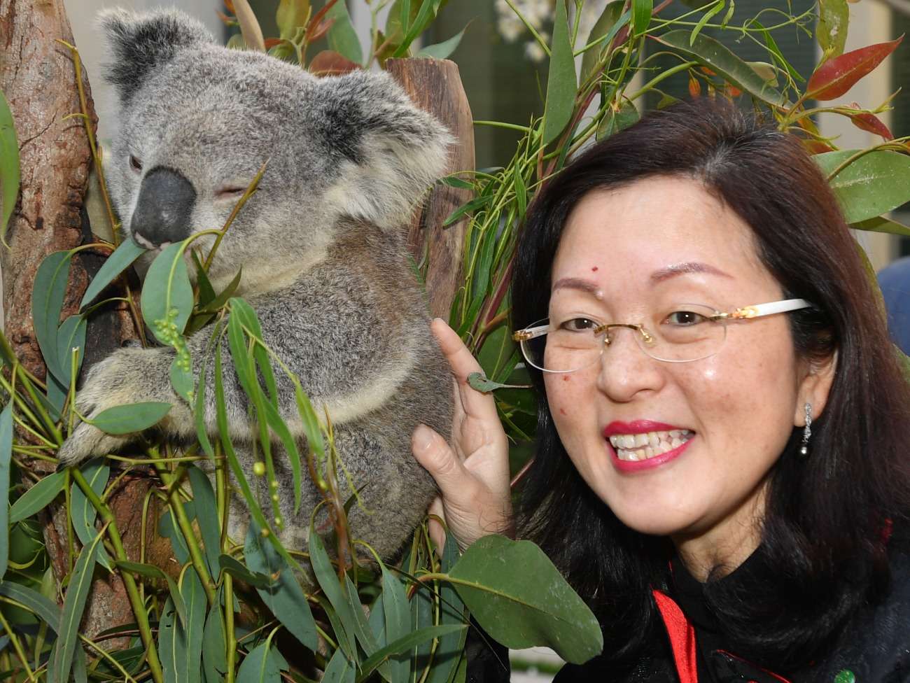Who is Gladys Liu