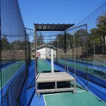 bird netting for fruit trees						