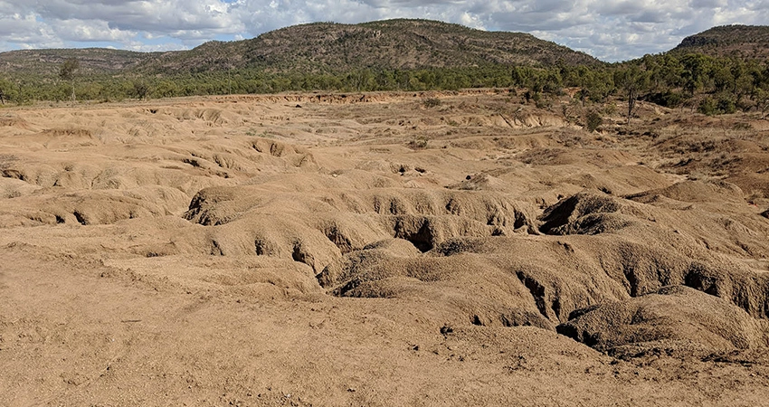 Gully complex. Click to open Gully, Streambank Remediation story.