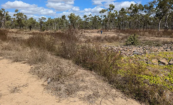 Miles Lake Vegetation protects five sites